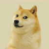 Doge